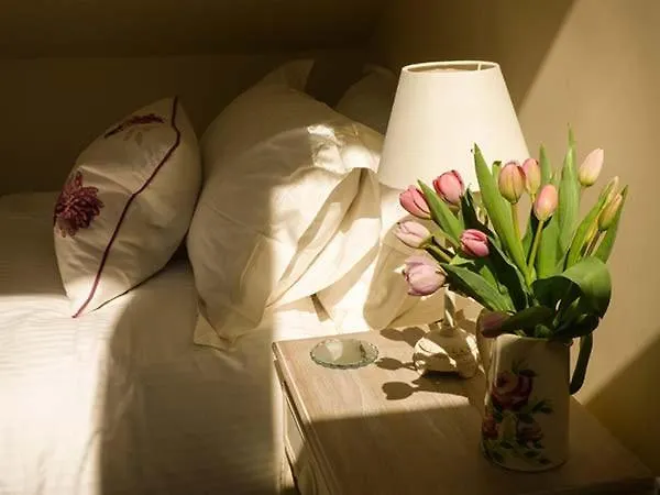 Hébergement de vacances Setch Barn